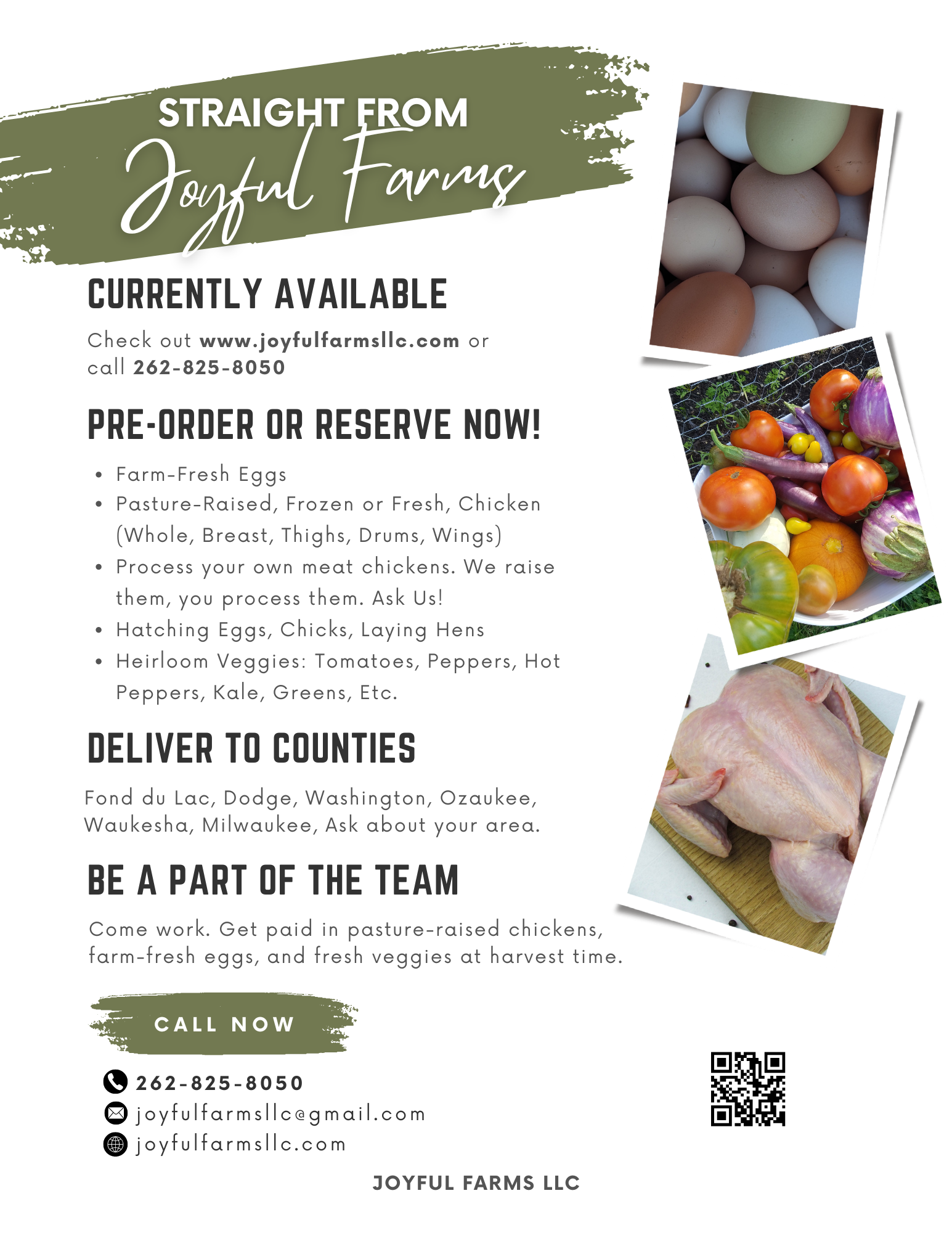 Straight from Joyful Farms LLC Pasture-Raised Chickens Eggs Flyer